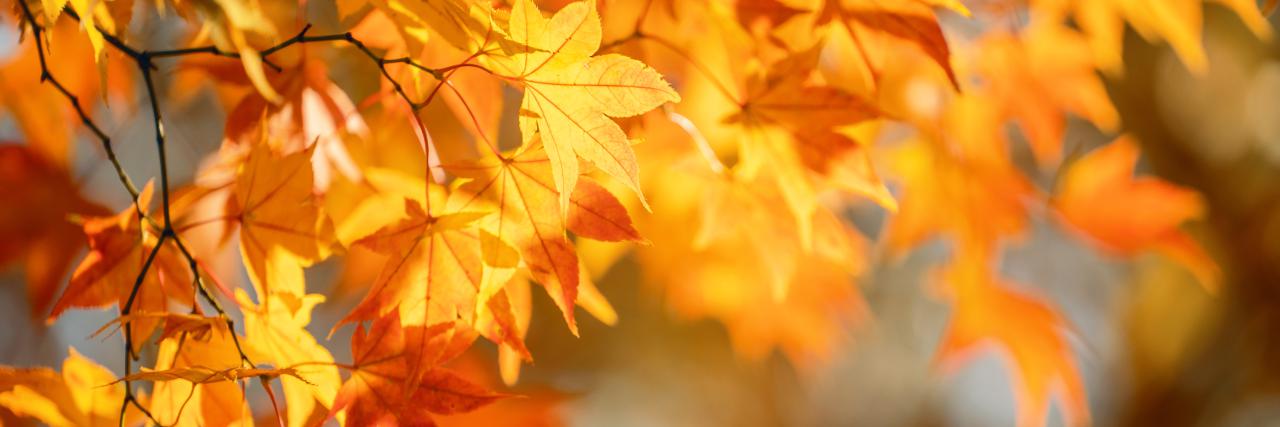 Akcje prowadzone w październiku 2025 r.