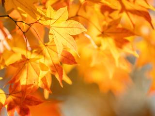 Akcje prowadzone w październiku 2025 r.